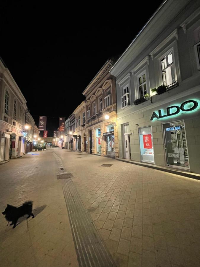 Lux Dabich 1 Leilighet Novi Sad Eksteriør bilde